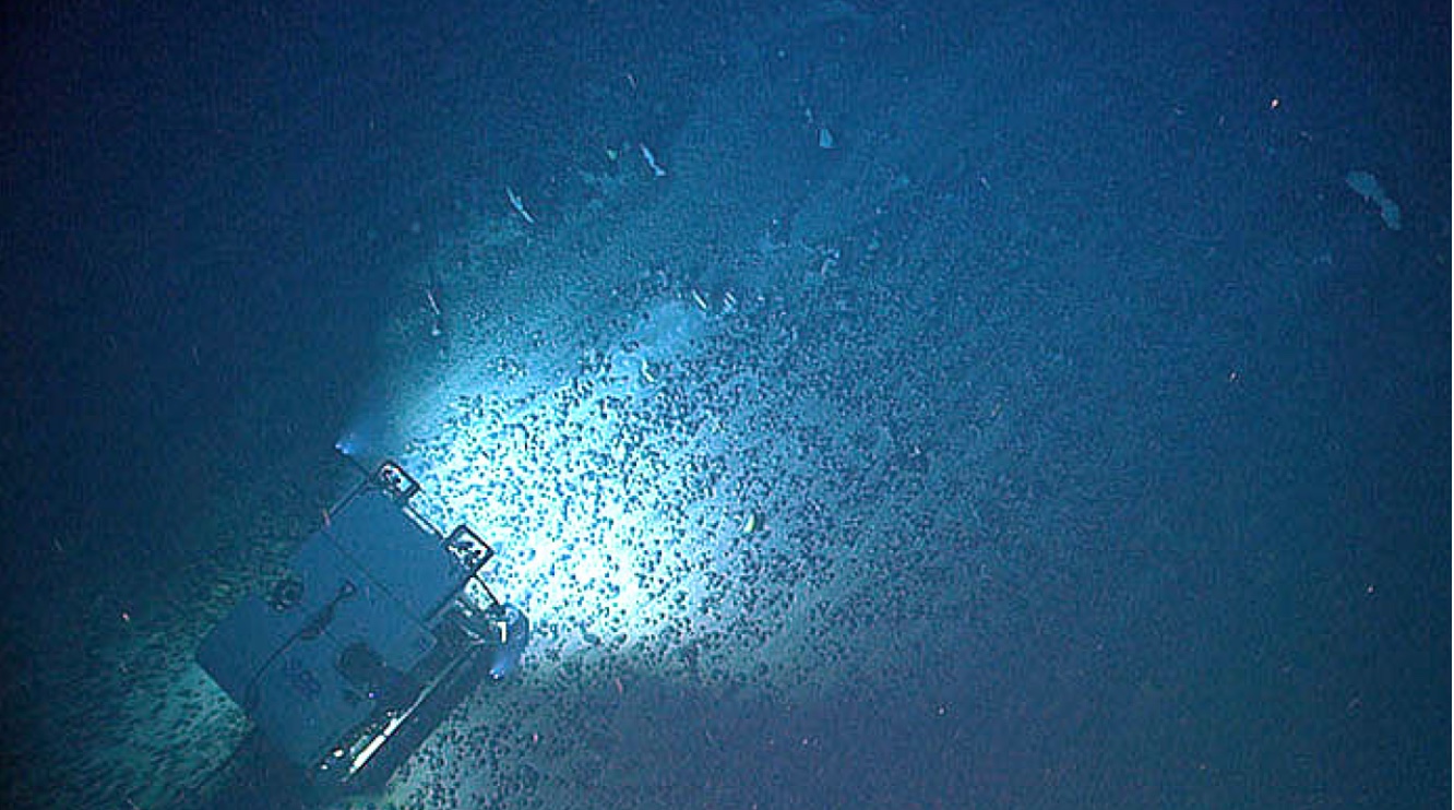 A remotely operated vehicle's lights illuminate a field of ferromanganese (polymetallic) nodules scattered across the deep-ocean seafloor.